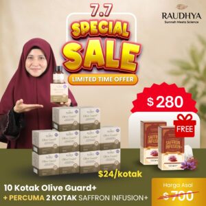 12+2 (PROMOSI 7.7)